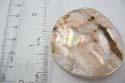 Round-shaped genuine seashell fashion pendant